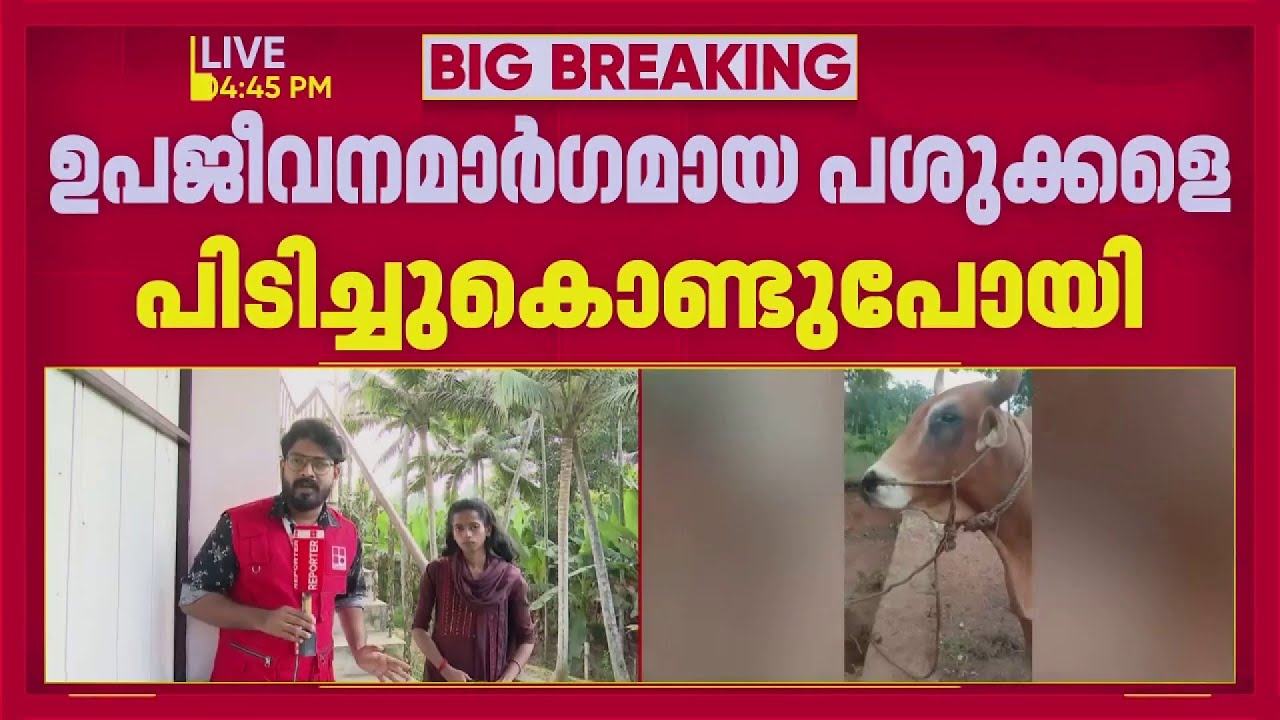 പശുക്കളെ പീപ്പിൾസ് ഫോർ അനിമൽസ് അനുവാദമില്ലാതെ പിടിച്ചുകൊണ്ടുപോയതായി പരാതി | Neyyatinkara