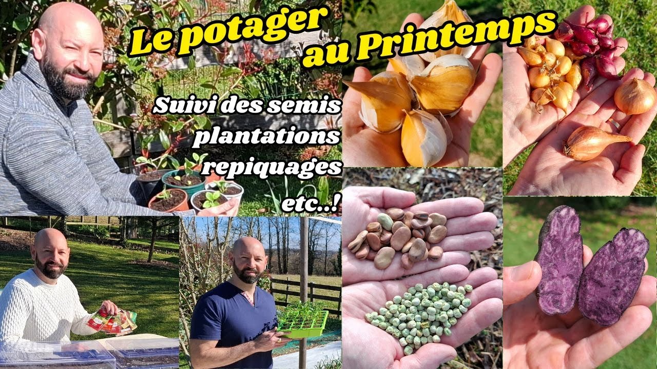 Suivi des semis🥕, plantations🧄🧅, repiquages 🍅🍆(Tomates, aubergines...)et bien plus!!!