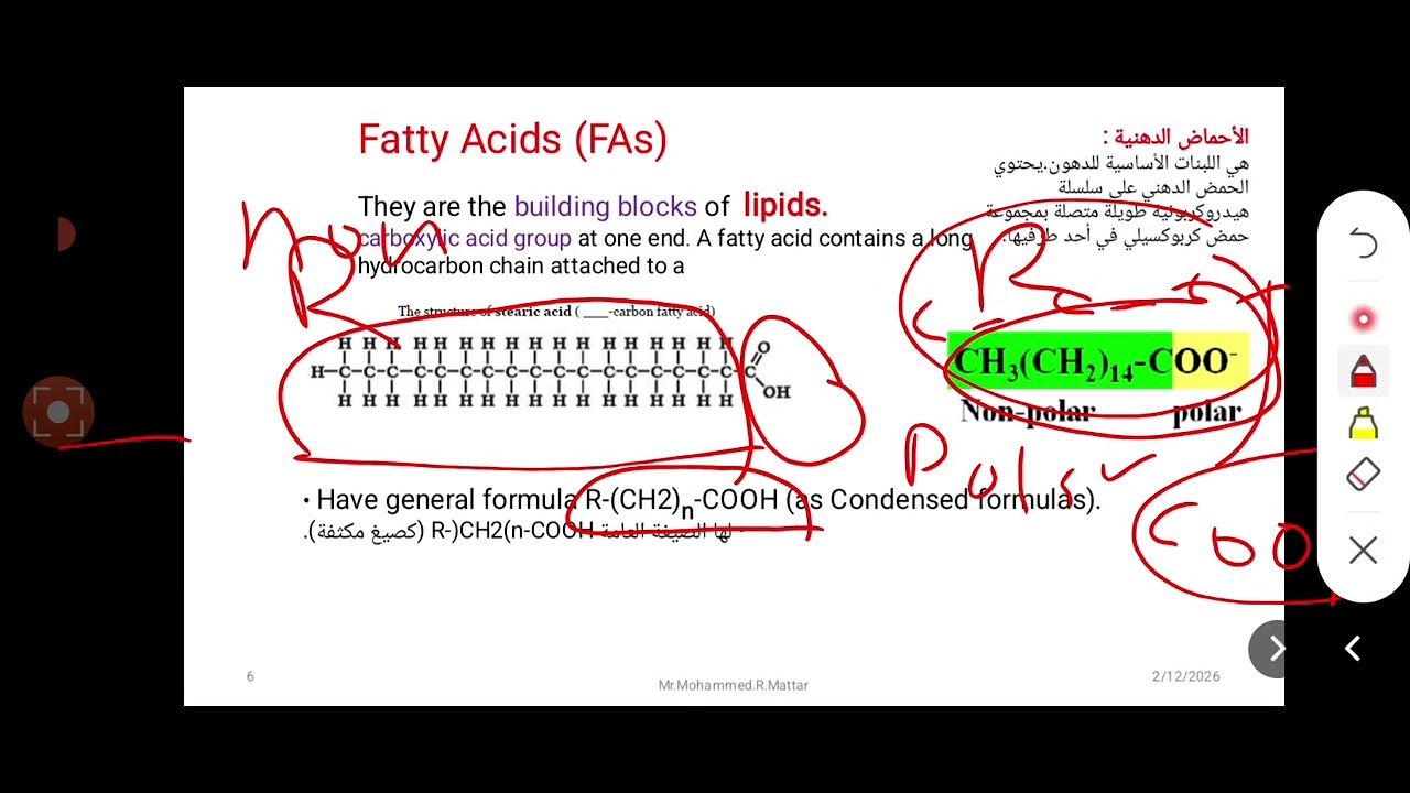 Chapter 6 Chemistry of Lipids. مساق كيمياء عضوية و حيوية ،أ.محمد رزق مطر ،طلاب دبلوم التريض