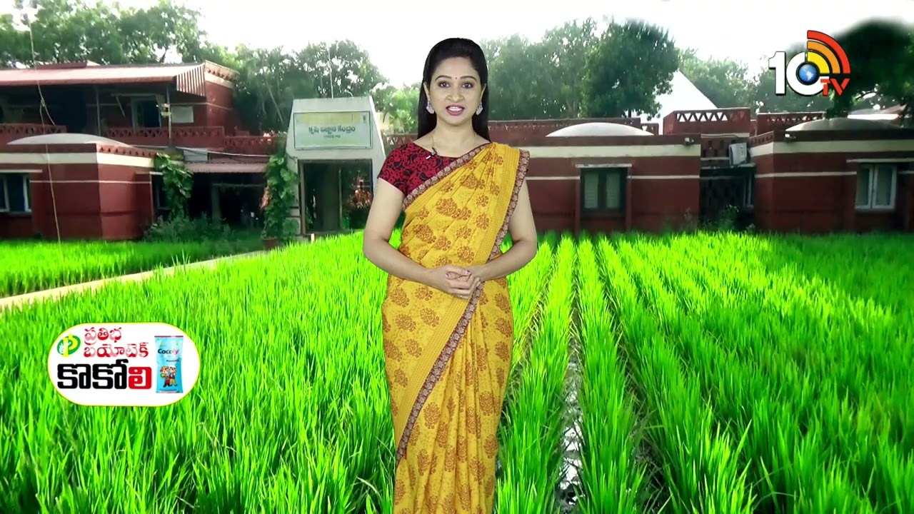 Matti Manishi Full Episode | మట్టి మనిషి | Agriculture Tips | 18-02-2026 | @10TVAgri