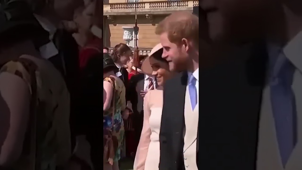 Prince Harry Security Demands Spark Doubts After Ravic Rejections Continue