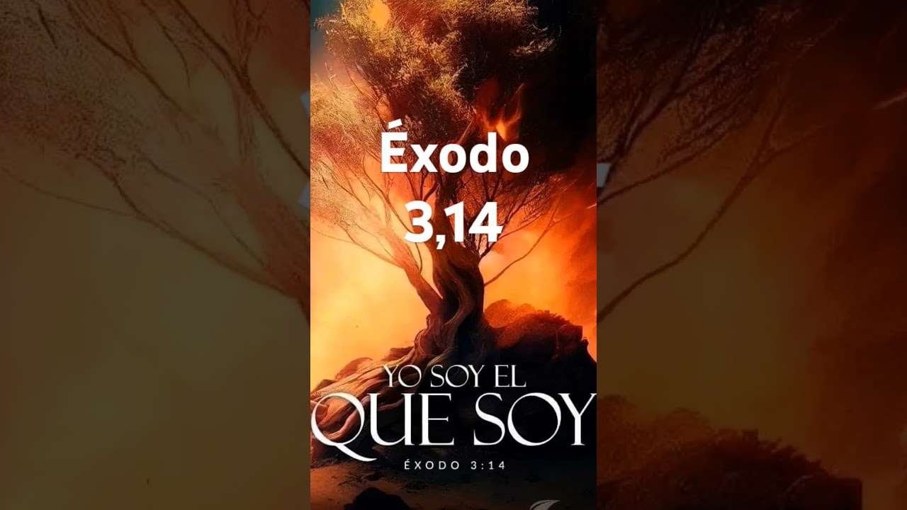 &Eacute;xodo 3,14 #conceptosbiblicos #existenciadedios #vida #amor #yosoyelyosoy