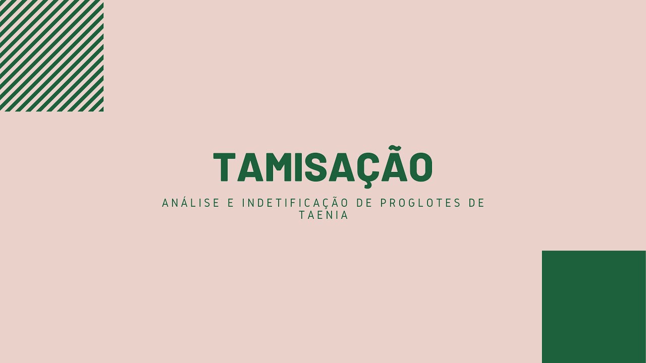 TÉNICA DE TAMISAÇÃO: 