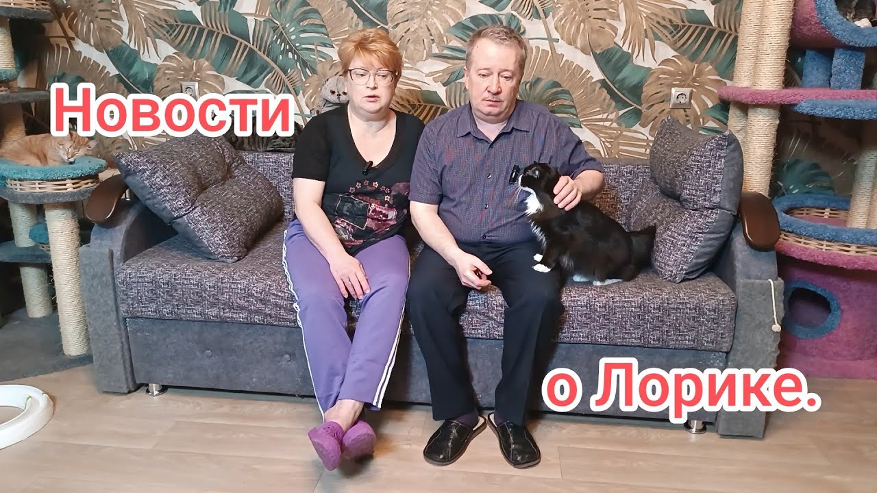 Новости о Лорике.