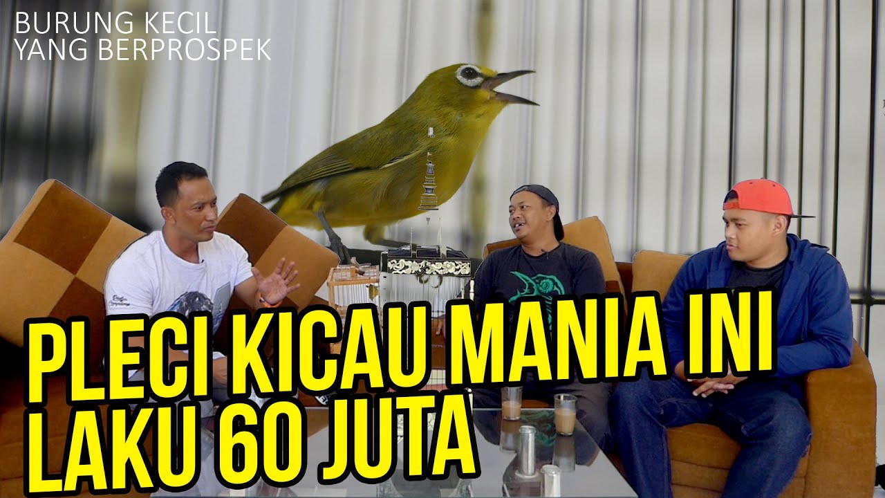 Akhirnya Prio Excellent Bahas Pleci, Bareng Pleci Mania Bandung Selatan