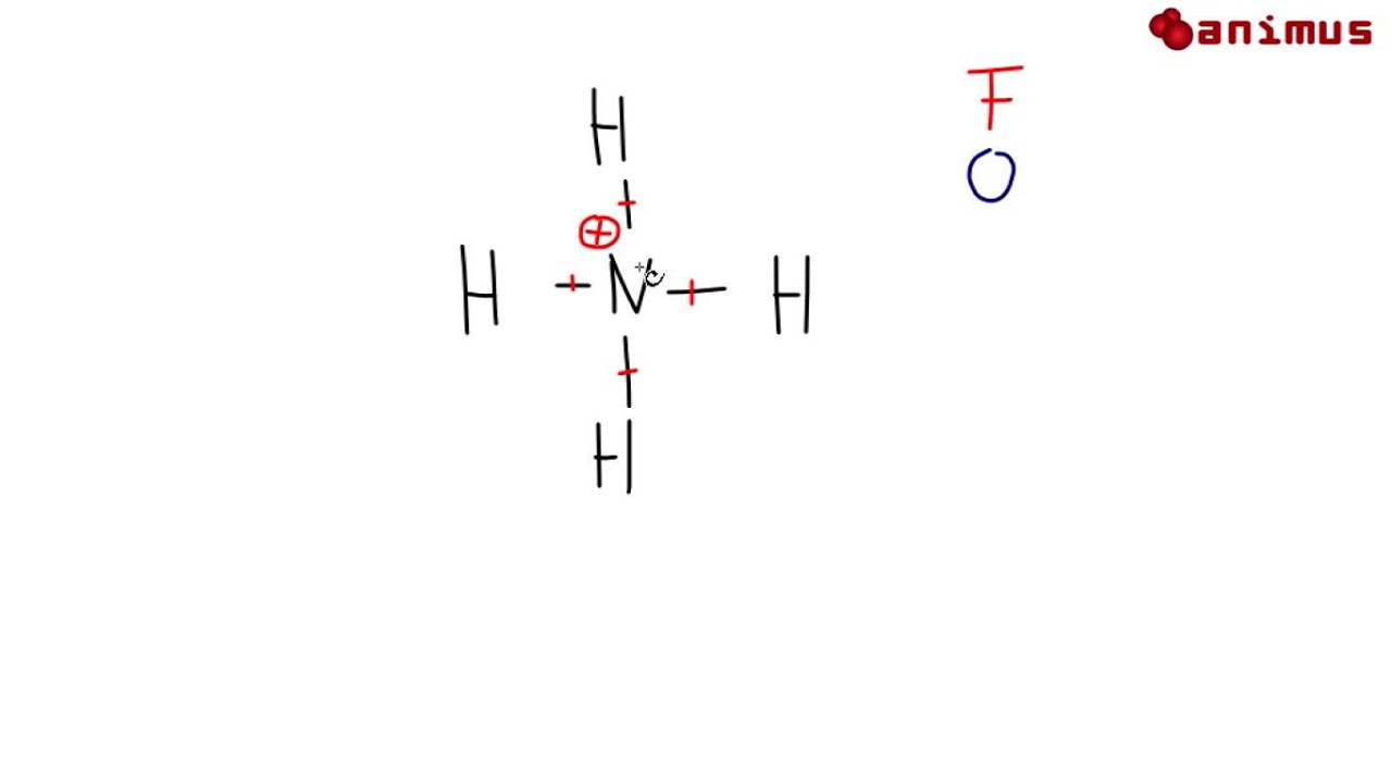 animus Tutorials: Unterschiede zwischen Formalladung und Oxidationszahl