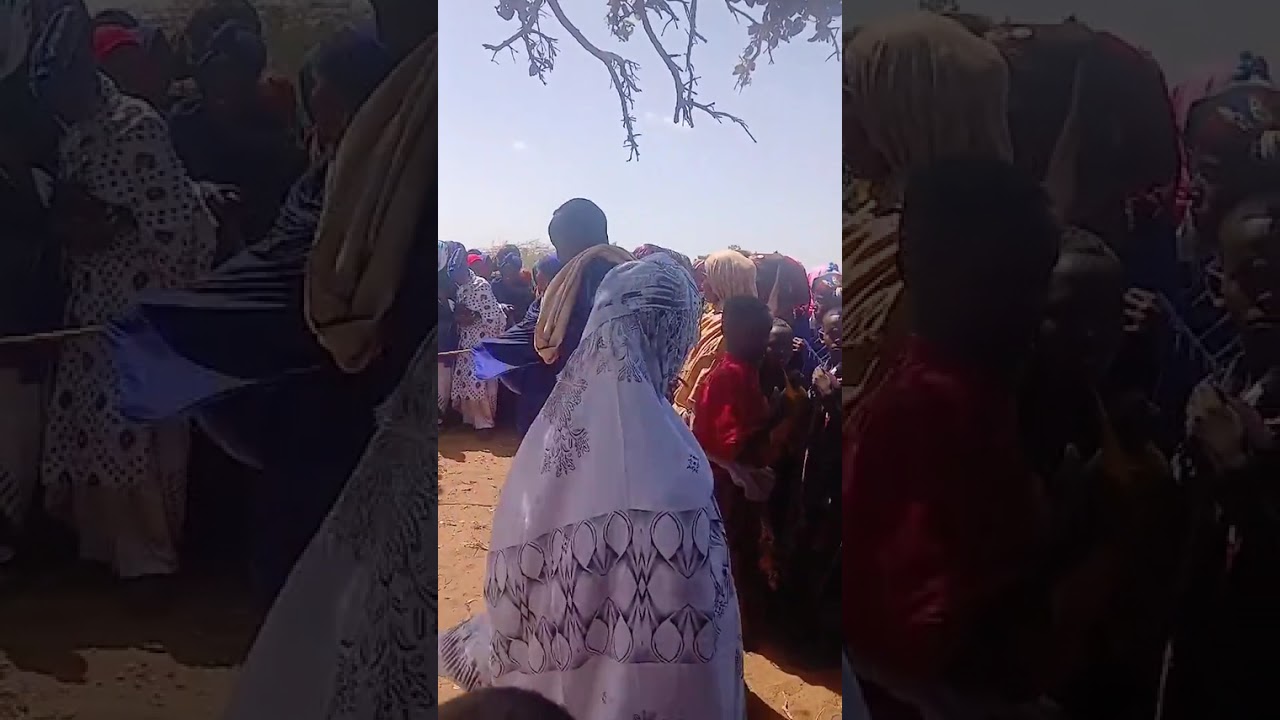Shirib abgal 