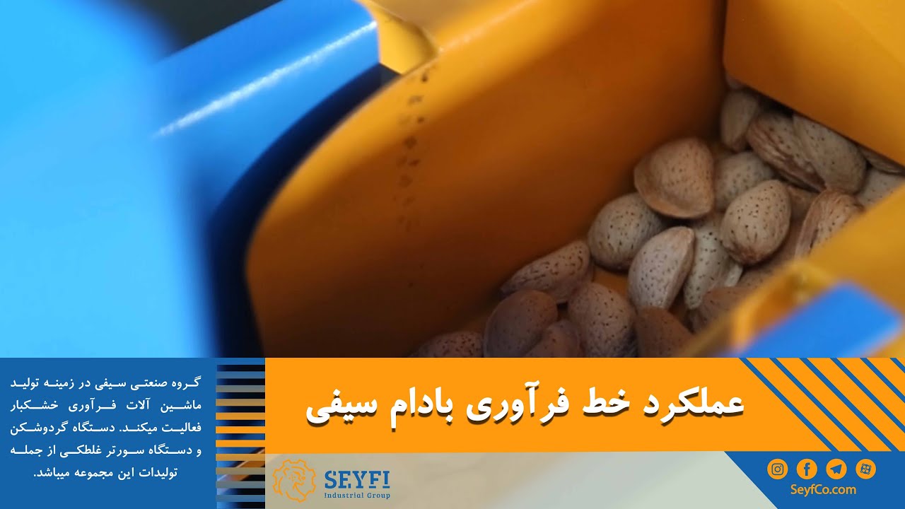 عملکرد خط فرآوری بادام گروه صنعتی سیفی