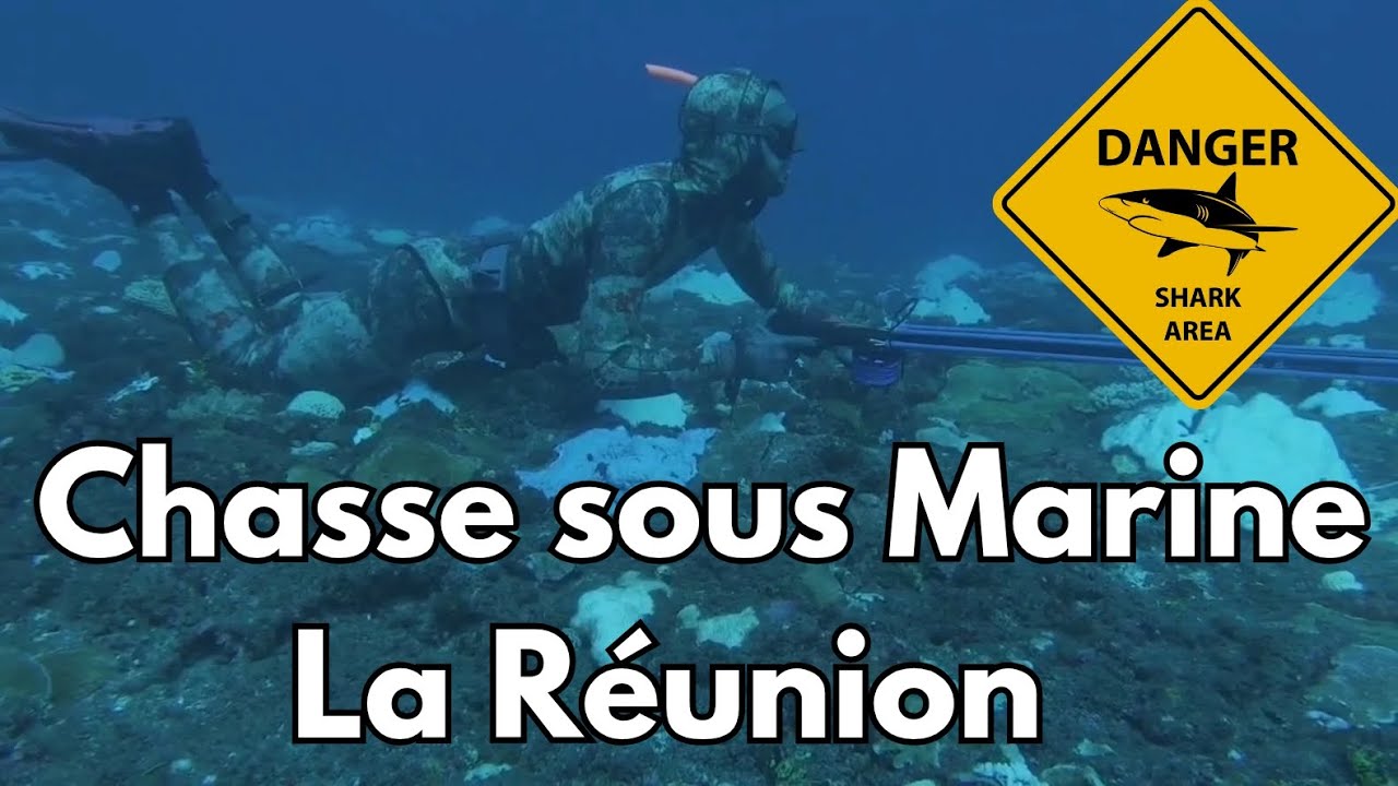 Documentaire : Découverte de la chasse sous-marine à l'île de la réunion après la crise requin