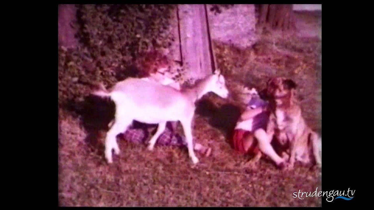 ZEITREISE || Sommer um die 70er Jahre in Bad Kreuzen