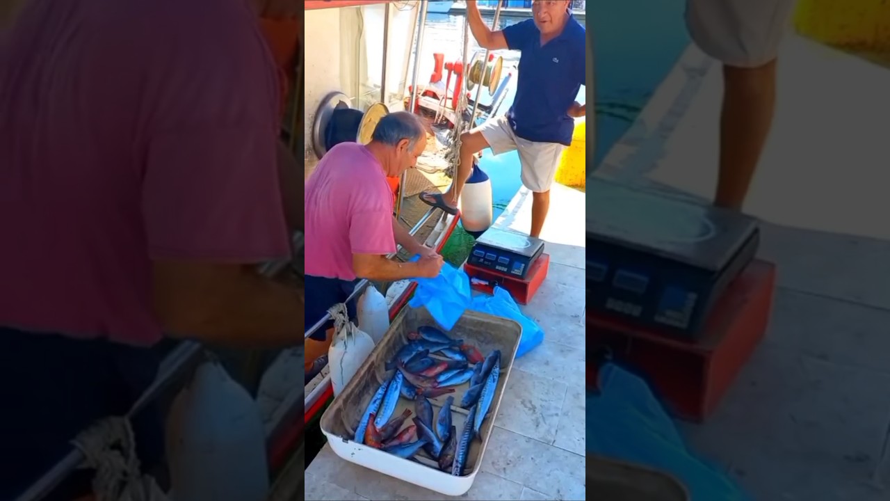ο Ψαράς στο Αργοστόλι    