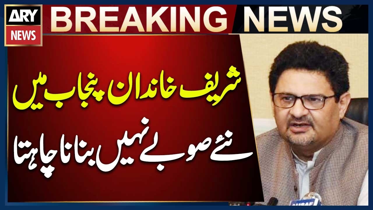 Sharif Family Opposes New Provinces in Punjab, Says Miftah Ismail