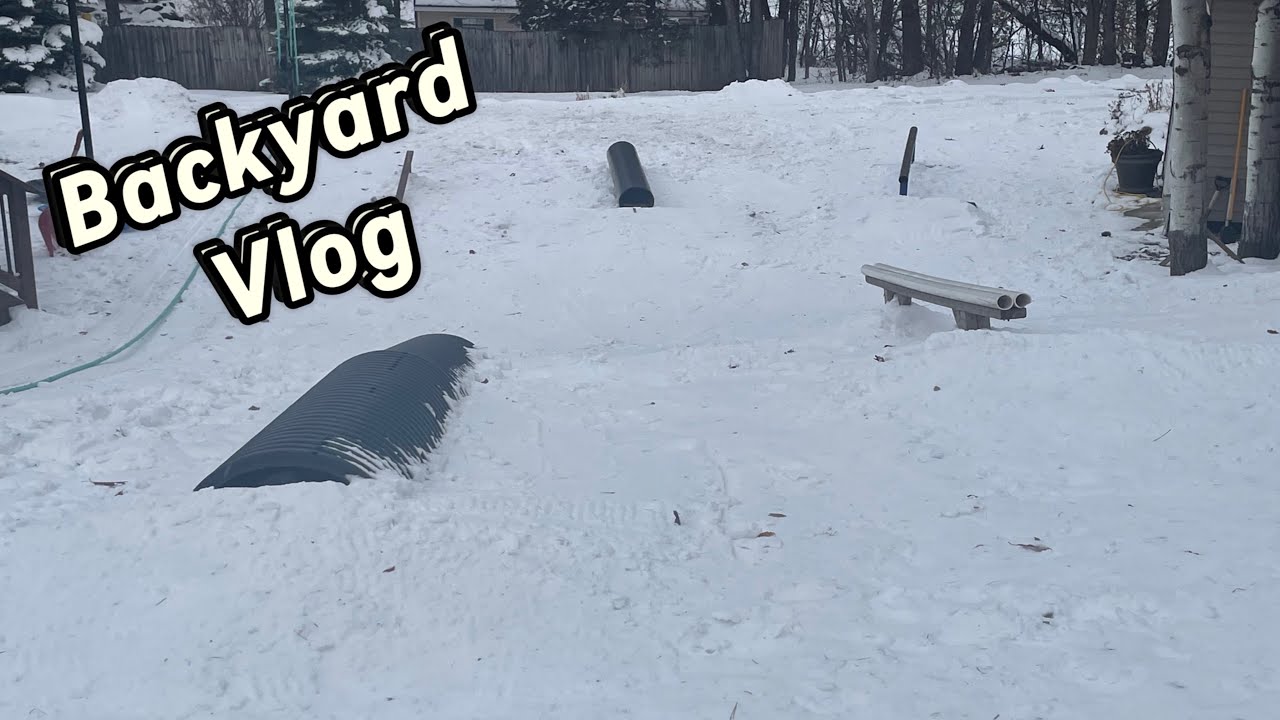 Backyard Vlog
