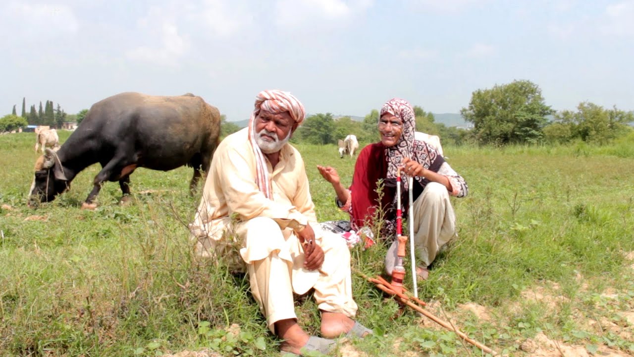 Dadi Bakhto Dada Shero Ep3 - Pothwari Superhit Funny Drama - Punjabi Comedy Drama - Pothwar Gold