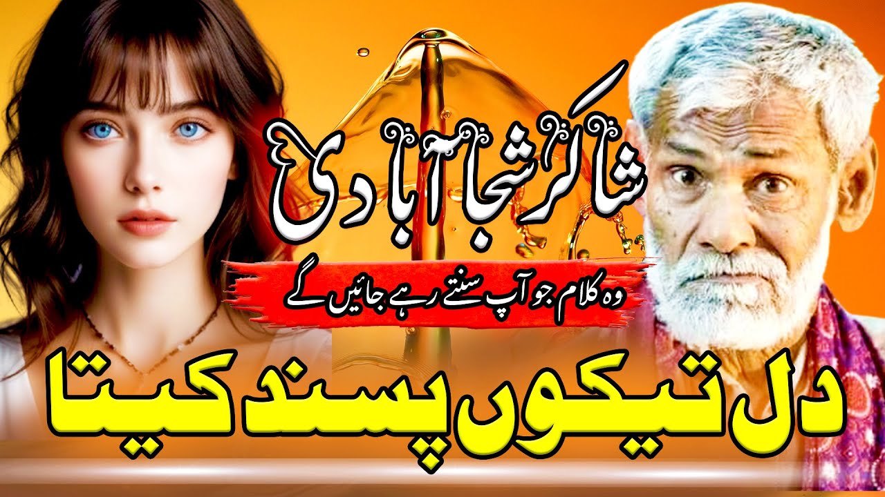 Shakir shuja abadi Dil takon Pasand keta    poetry✍️🔥