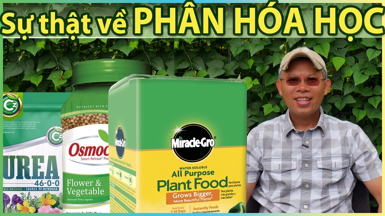 Sự thật về PHÂN HÓA HỌC. Xấu hay tốt?! Ảnh hưởng trên đất trồng, cây rau & sức khoẻ.
