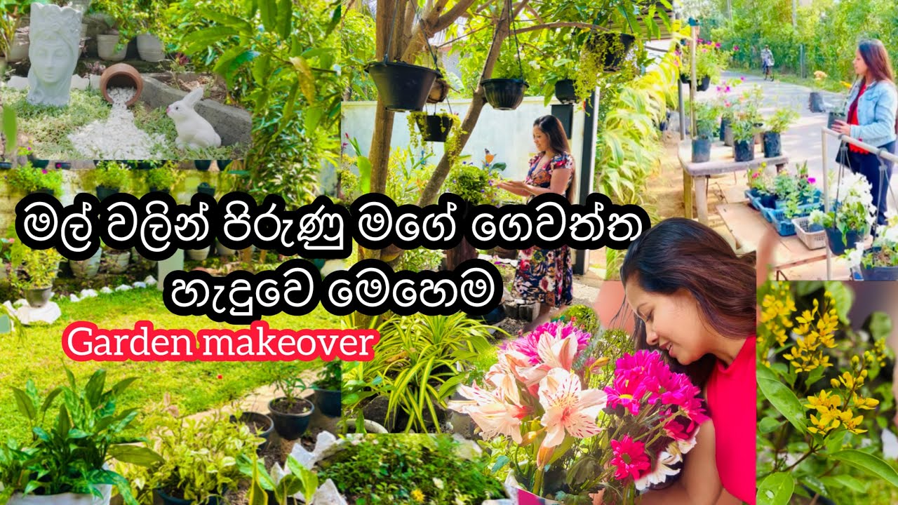 🏡Home garden makeover||garden tour in Sri Lanka //  #homegarden #gardentour #sldiario