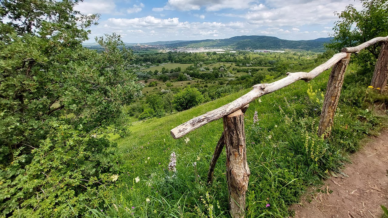 Páncélosok és orchideák az esztergomi Strázsa-hegyen