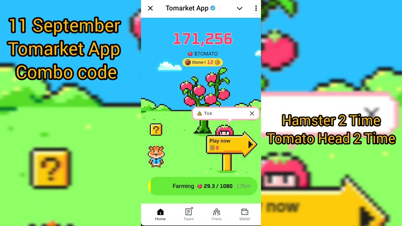 Tomarket App combo 11 September | Tomarket Daily Combo Today