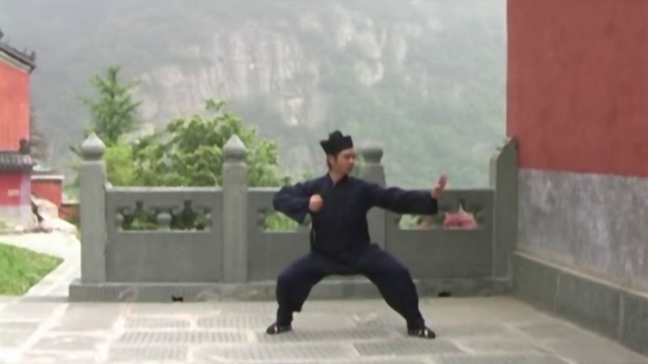 Practicing Qi Gong with Master Chen Shiyu - Part 2