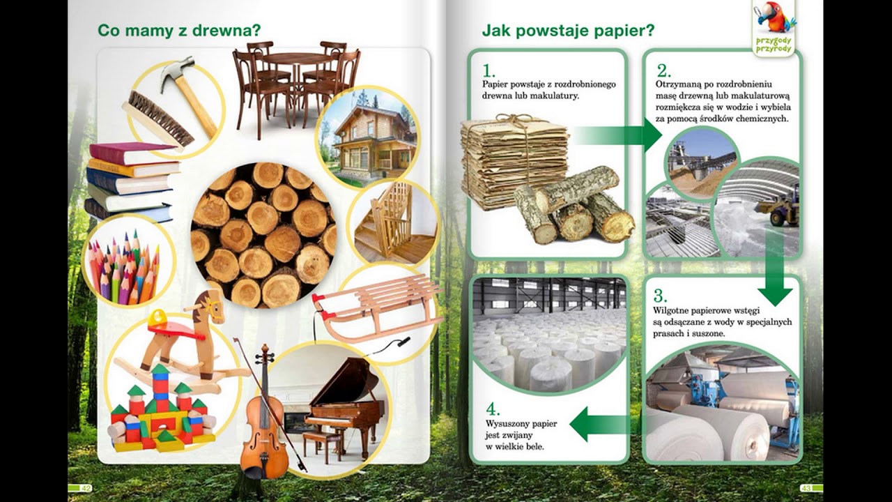 Jak powstaje papier? Elementarz Odkrywców, klasa 1