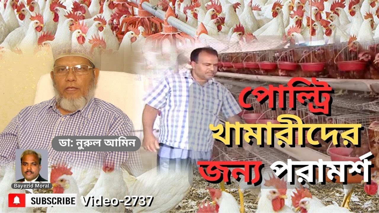 নতুন ও পুরাতন পোল্ট্রি খামারীদের জন্য ডাঃ নুরুল আমীনের পরামর্শ | Antibiotic free poultry farming