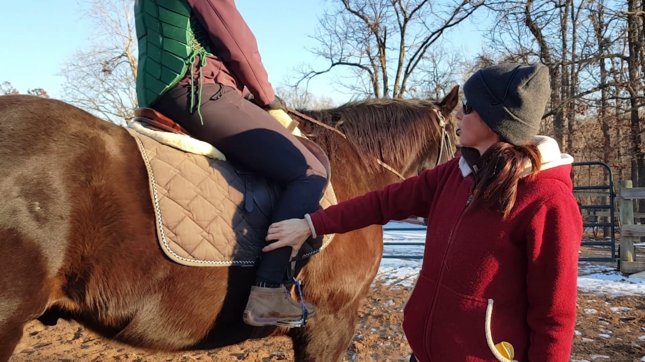 Using the leg and calf aids correctly. (how to kick your horse)