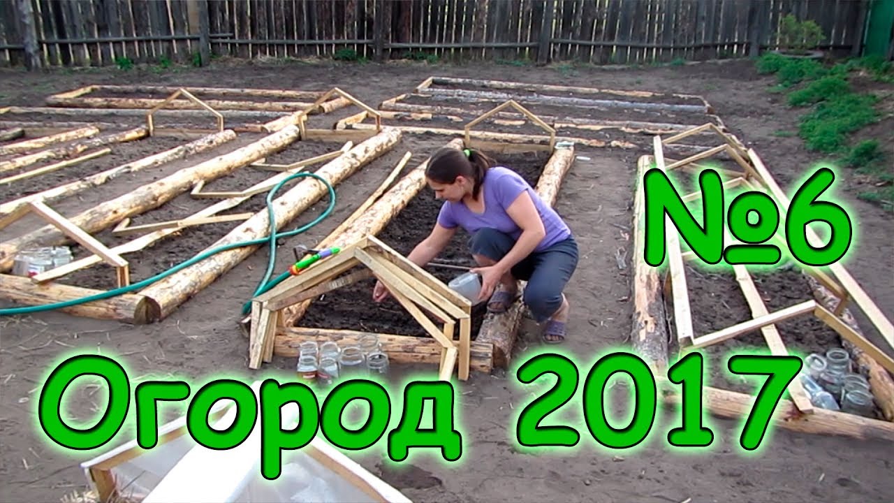 Семья Бровченко. Огород 2017г. - кориандр, перец , амарант, базилик, помидоры, кукуруза. (05.17г.)