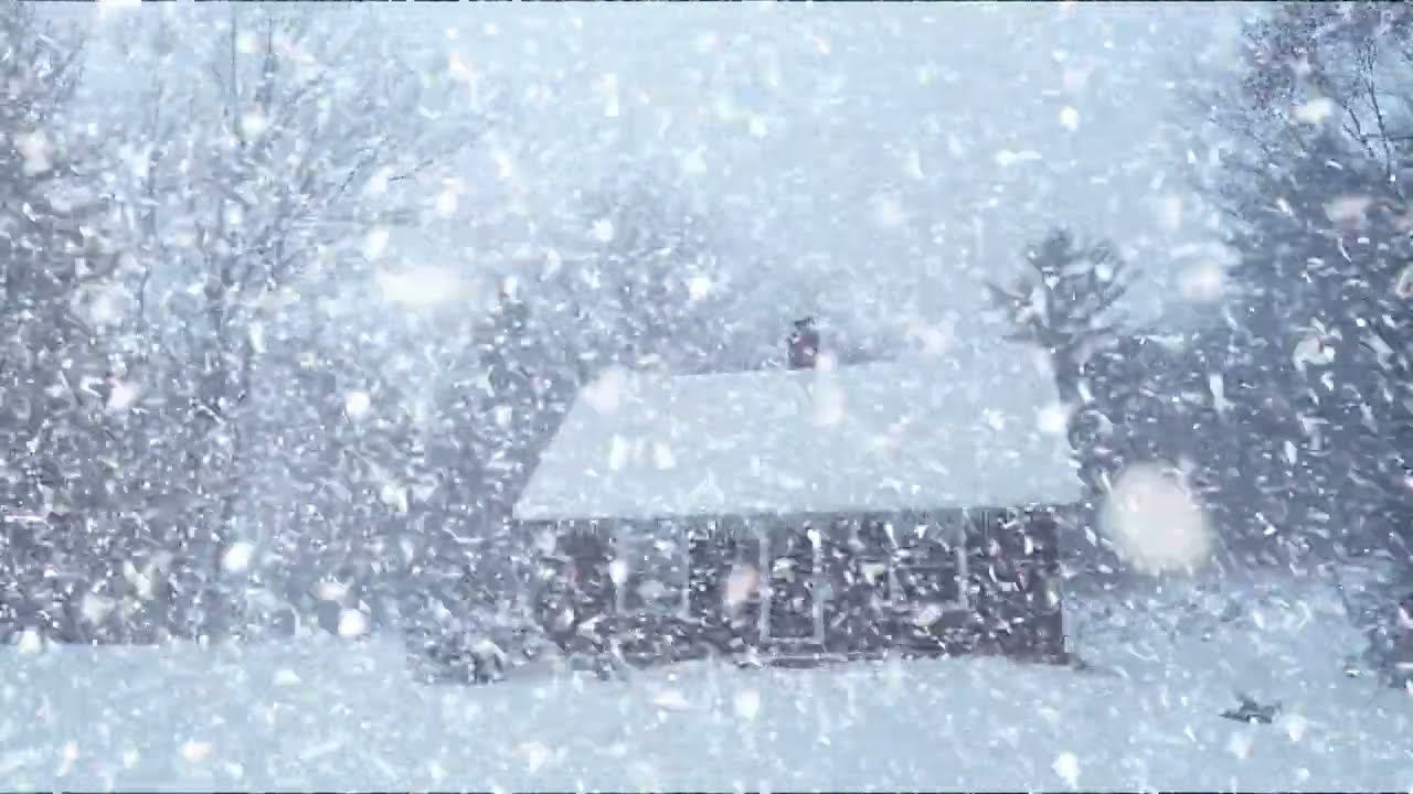 Relentless Cold Wind and Snowstorm Sweeping Through a Silent Snowy Night for Relaxation