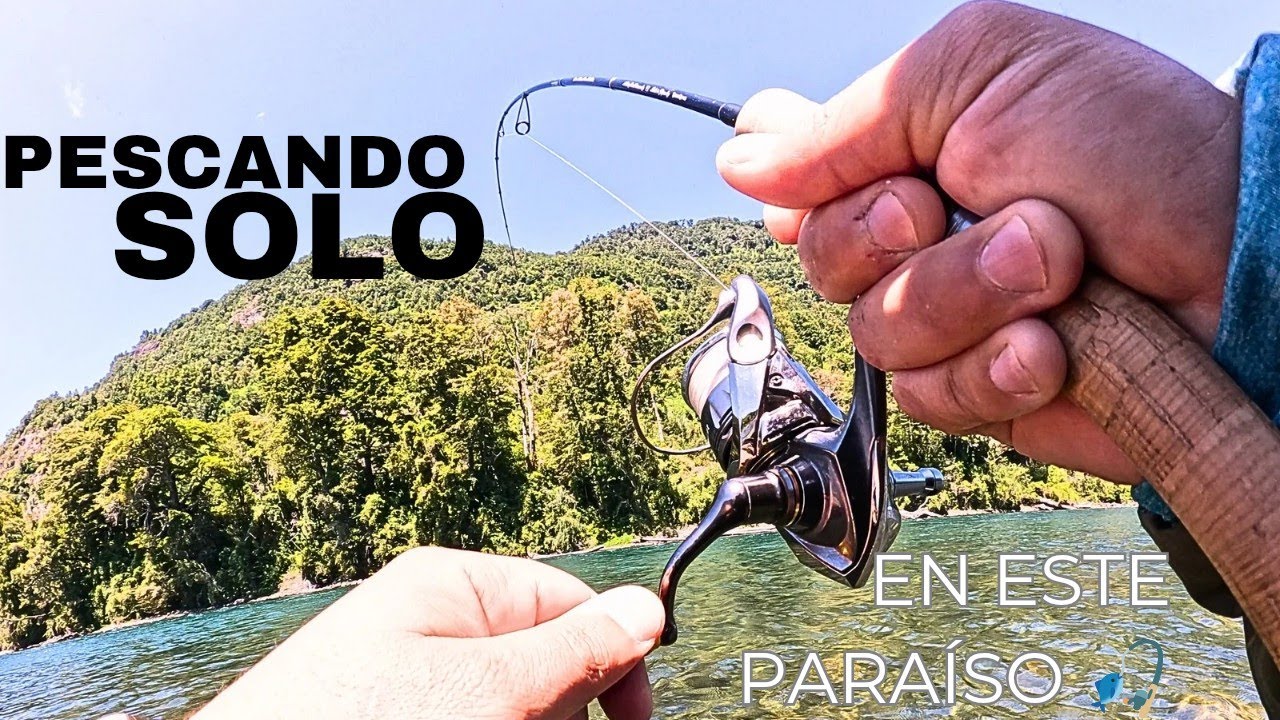 Pescando SOLO en el Río Calcurrupe 😰 ¡Costó, pero salieron algunas TRUCHAS!