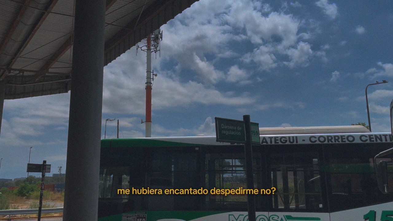 me hubiera encantado despedirme