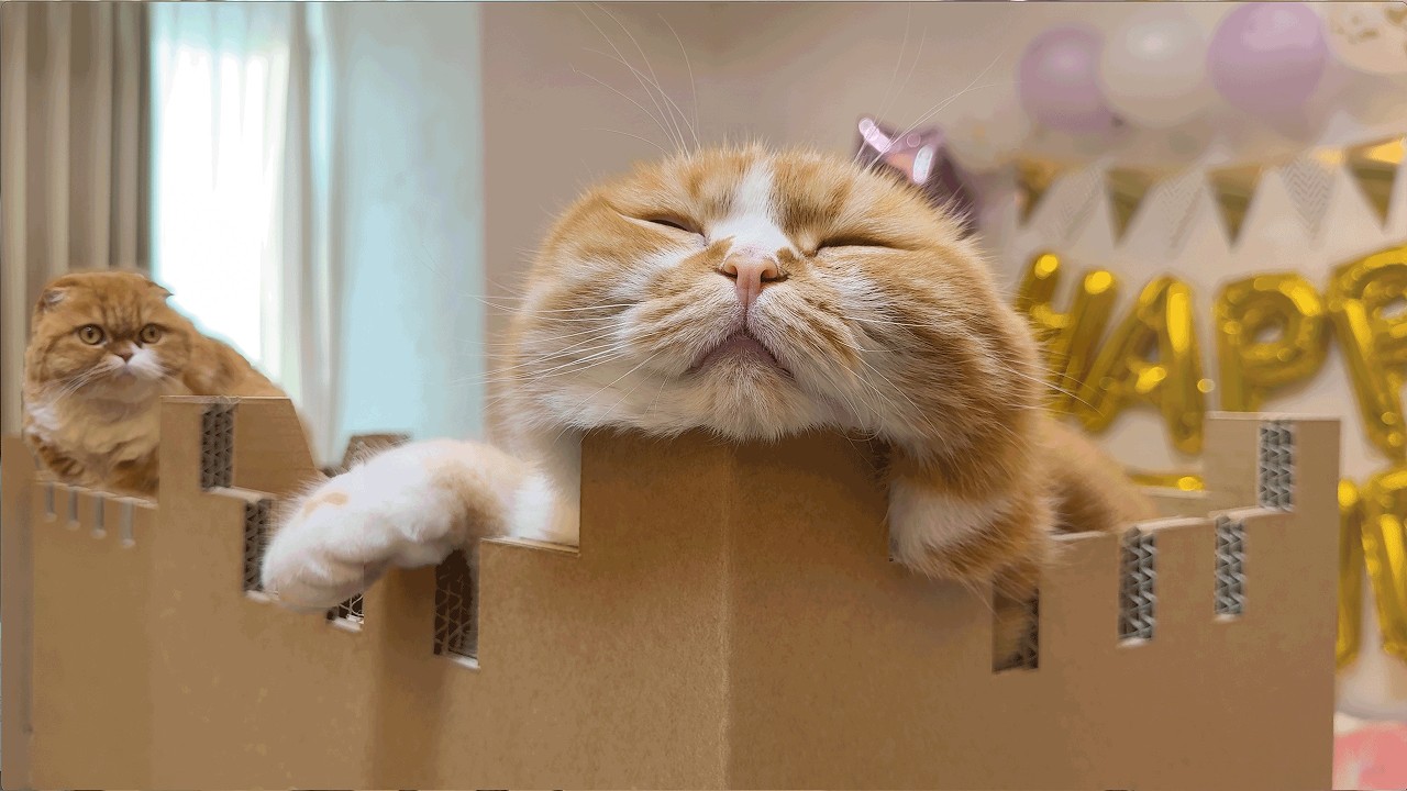 まるお & もふこ 7歳の誕生日に巨大なお城作って祝ってみた