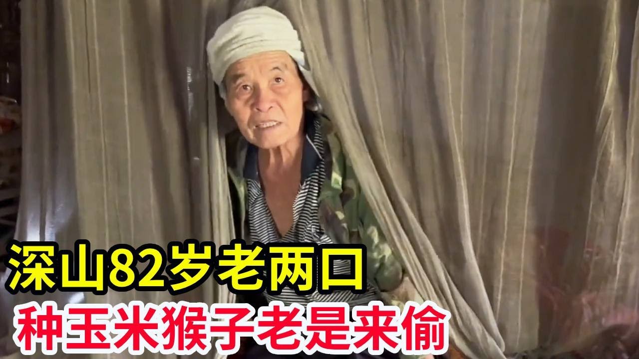 深山82岁老两口，养6只兔一只乌龟，种玉米猴子老是来偷！【山农乐哥】