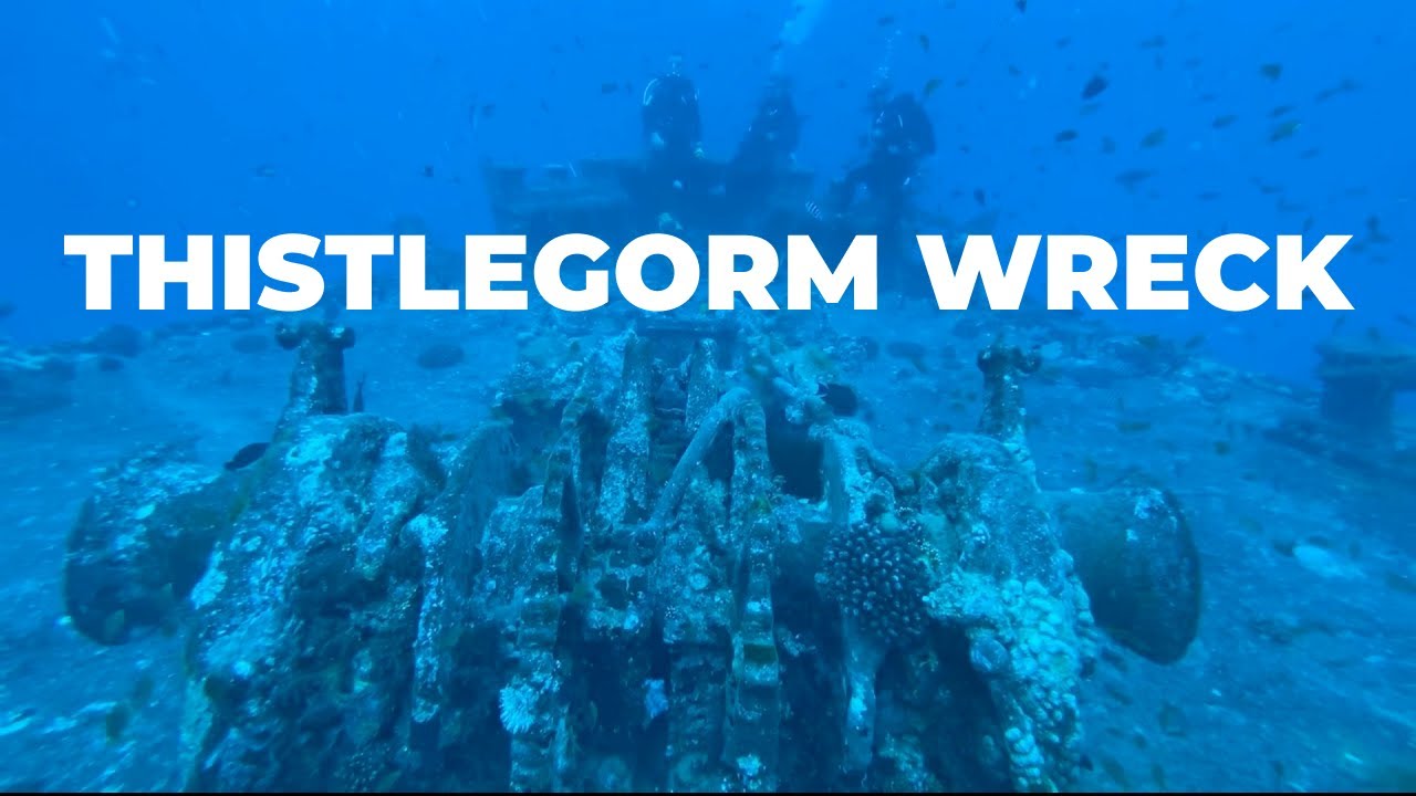 Scuba diving with Reef Oasis Dive Club in Thistlegorm Wreck, Sharm el Sheikh