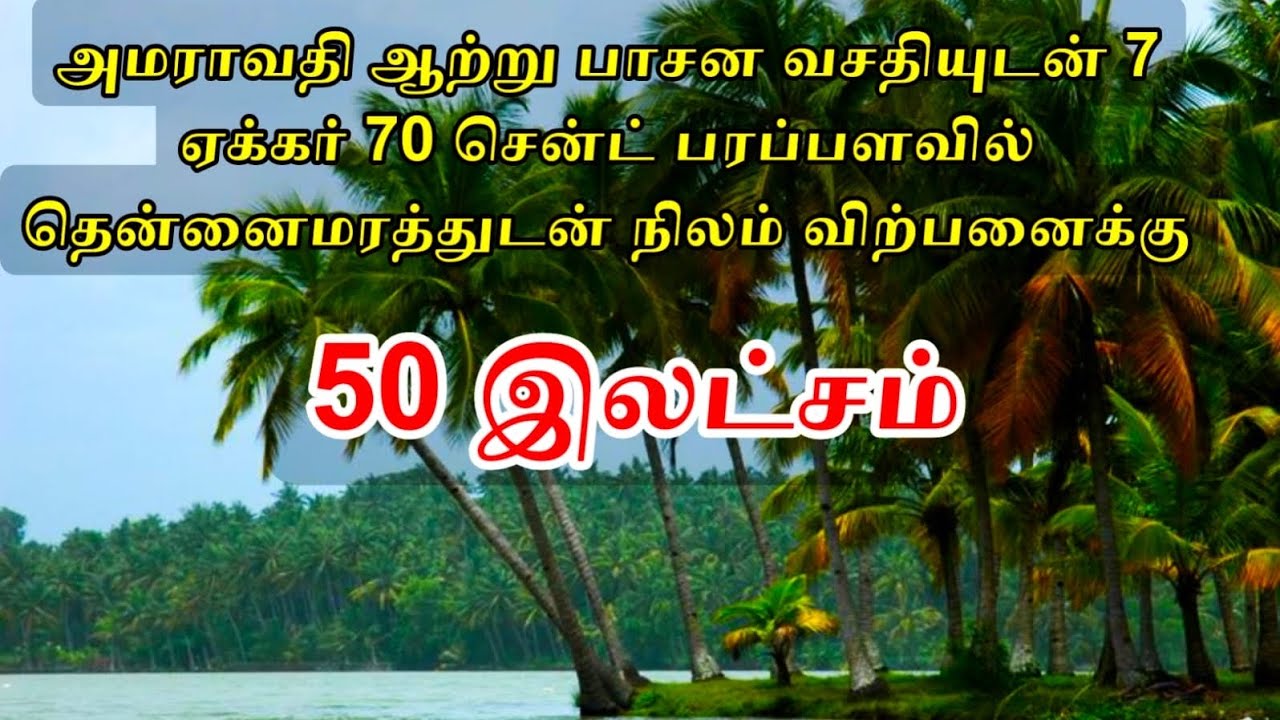 அமராவதி ஆற்றுபாசன வசதியுடன் 7ஏக்கர் 70சென்ட் பரப்பளவில் தென்னைமரத்துடன் நிலம் விற்பனைக்கு 50இலட்சமா?