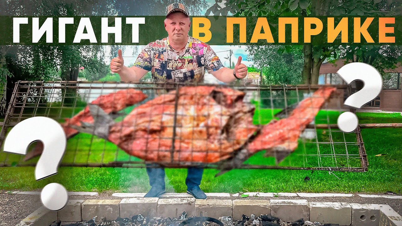 ШАШЛЫК ИЗ РЫБЫ НА ОГРОМНОМ МАНГАЛЕ ! КАК ПРИГОТОВИТЬ И НАКОРМИТЬ ГОСТЕЙ  ! #рыба #шашлык #рецепт