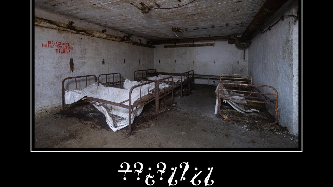 Bunker | all endings meme