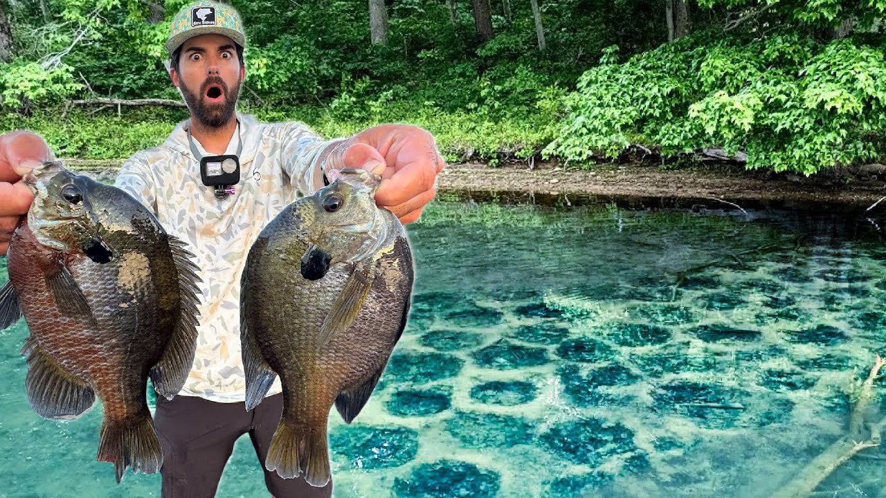 Found TONS of SPAWNING BLUEGILL, But We Have a Problem......