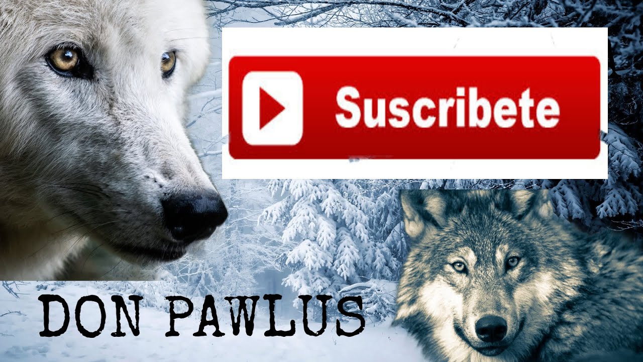 CON LA TIERRA NOS BASTA (DON PAWLUS) VÍDEO OFICIAL