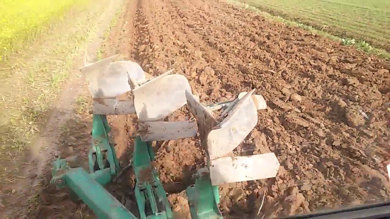 URSUS C-385a próba pługa orka gorczycy