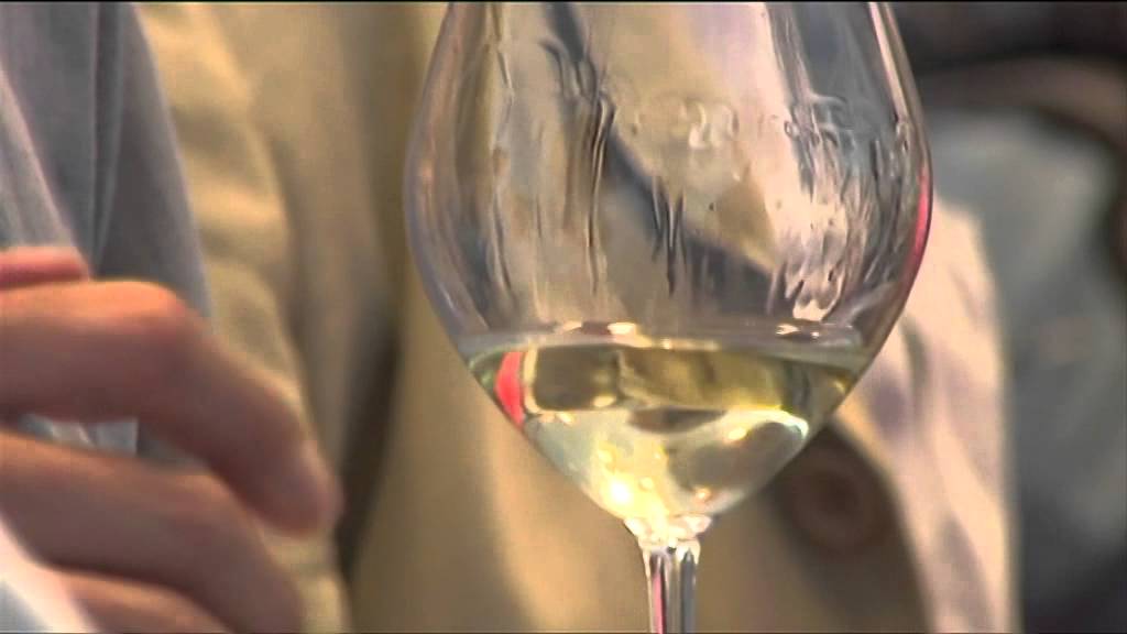 Le goût des vins en biodynamie