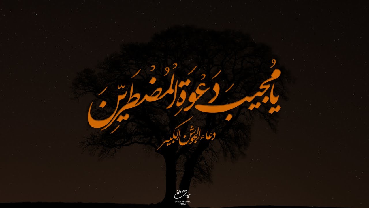 دعاء الجوشن الكبير | يا مُجيبَ دَعْوَةِ الْمُضْطَرِّينَ | من الفقرة ١٢ إلى ١٥ | سيد مصطفى الموسوي