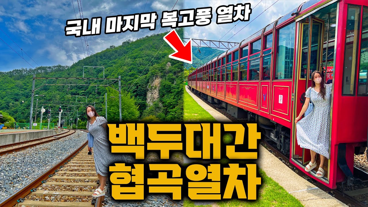 이국적인 풍경이 압권!! 백두대간 협곡열차 V-TRAIN 기차여행✨분천 산타마을에서 태백 철암역까지 이색 데이트 코스