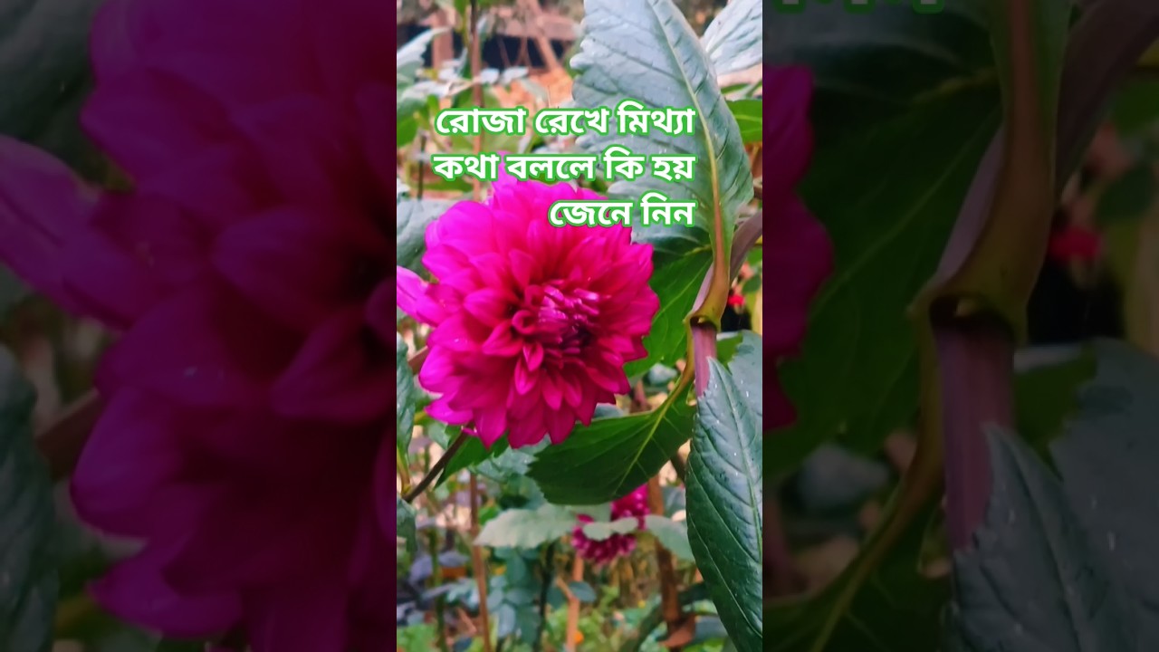 রোজা রেখে মিথ্যা কথা বলা চলে না 🤲🤲🤲#for you #viral short video