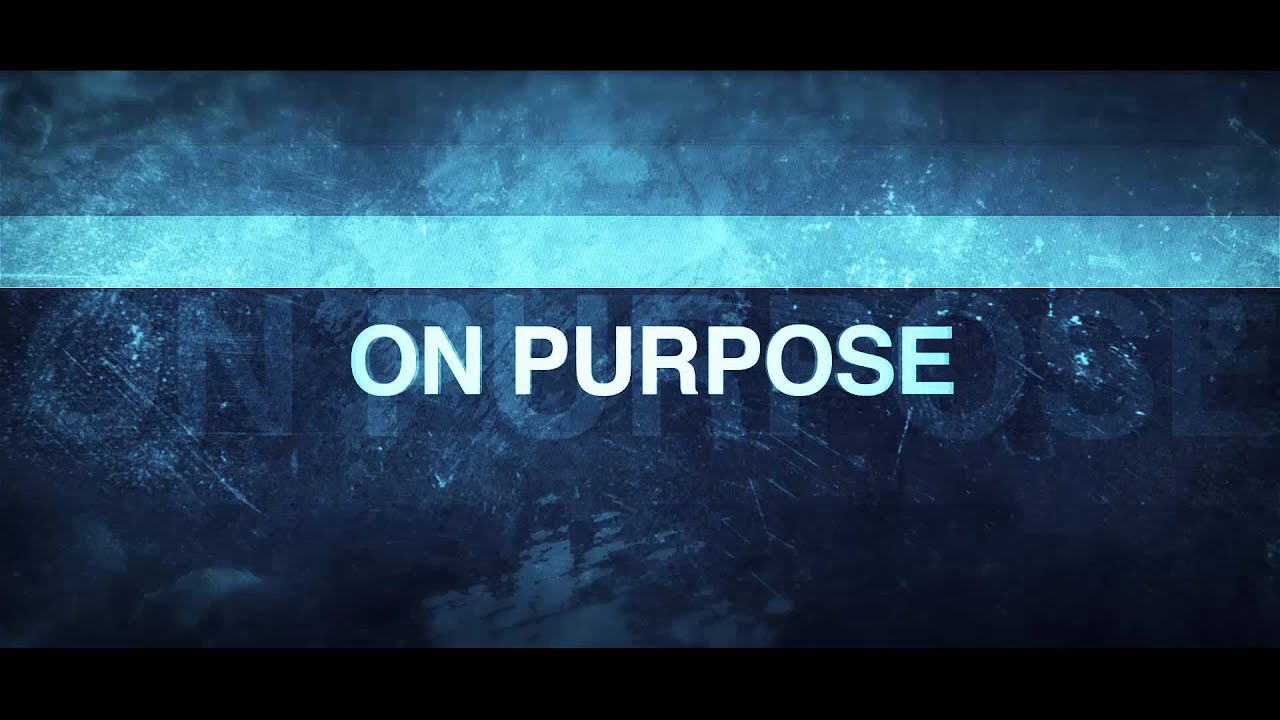Dougie F Feat Pitbull - On Purpose