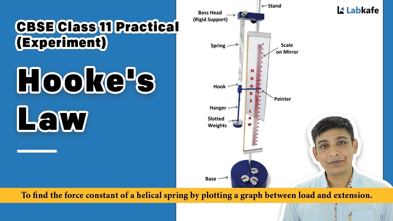 Hooke's Law (Experiment) for Class 11 Practical