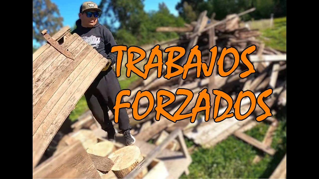 CALZANDO AL INSURRECTO