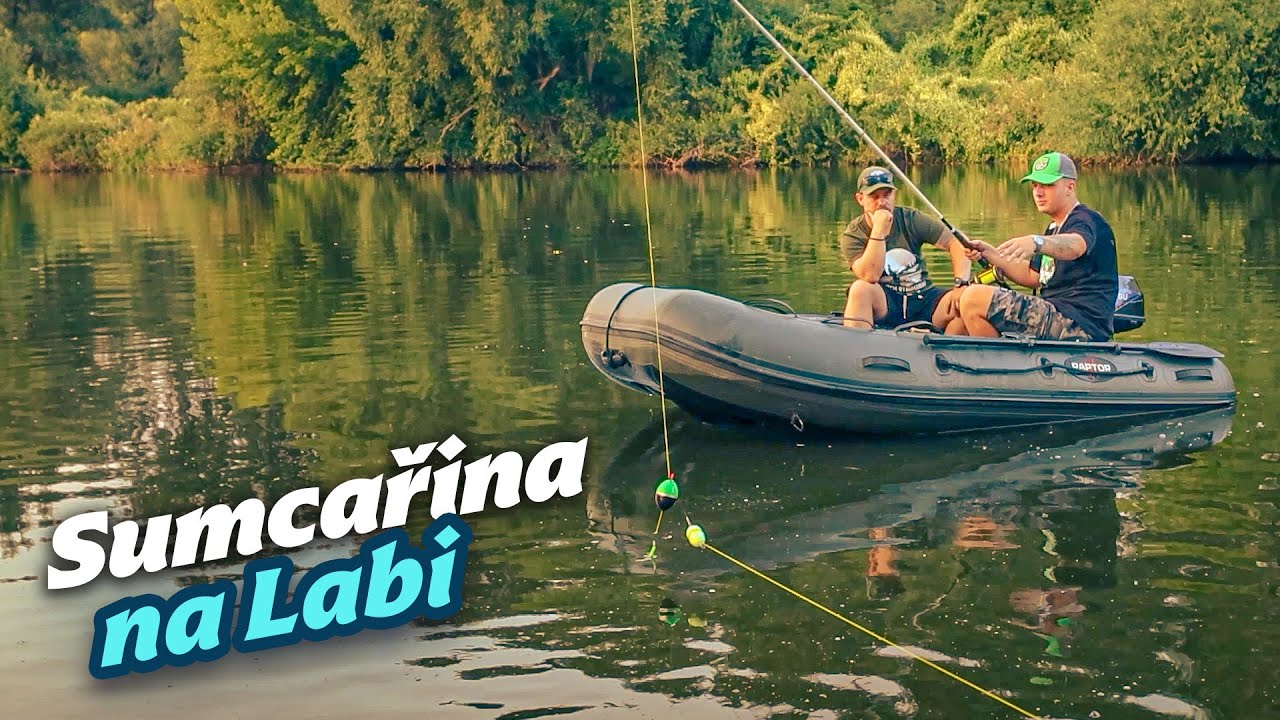 O lovu sumců na Labi a uk&aacute;zka chyt&aacute;n&iacute; s live sondou / Zkou&scaron;&iacute;me živou rybu i pijavice. Rady a tipy!
