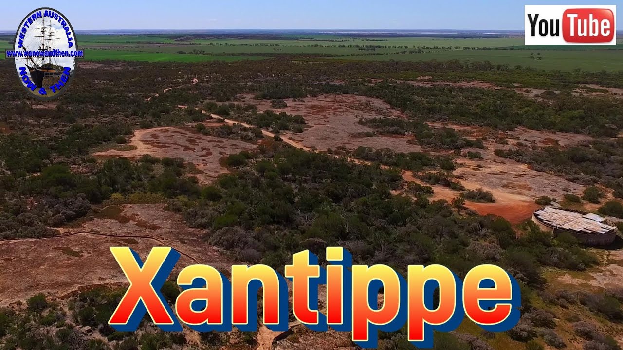 Xantippe - Western Australia