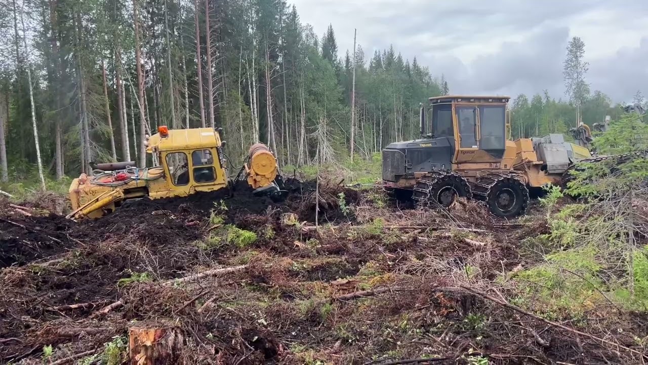 Bärgning tigercat 1075B högläggare bofors bandtraktor 2024  vallen ramsele